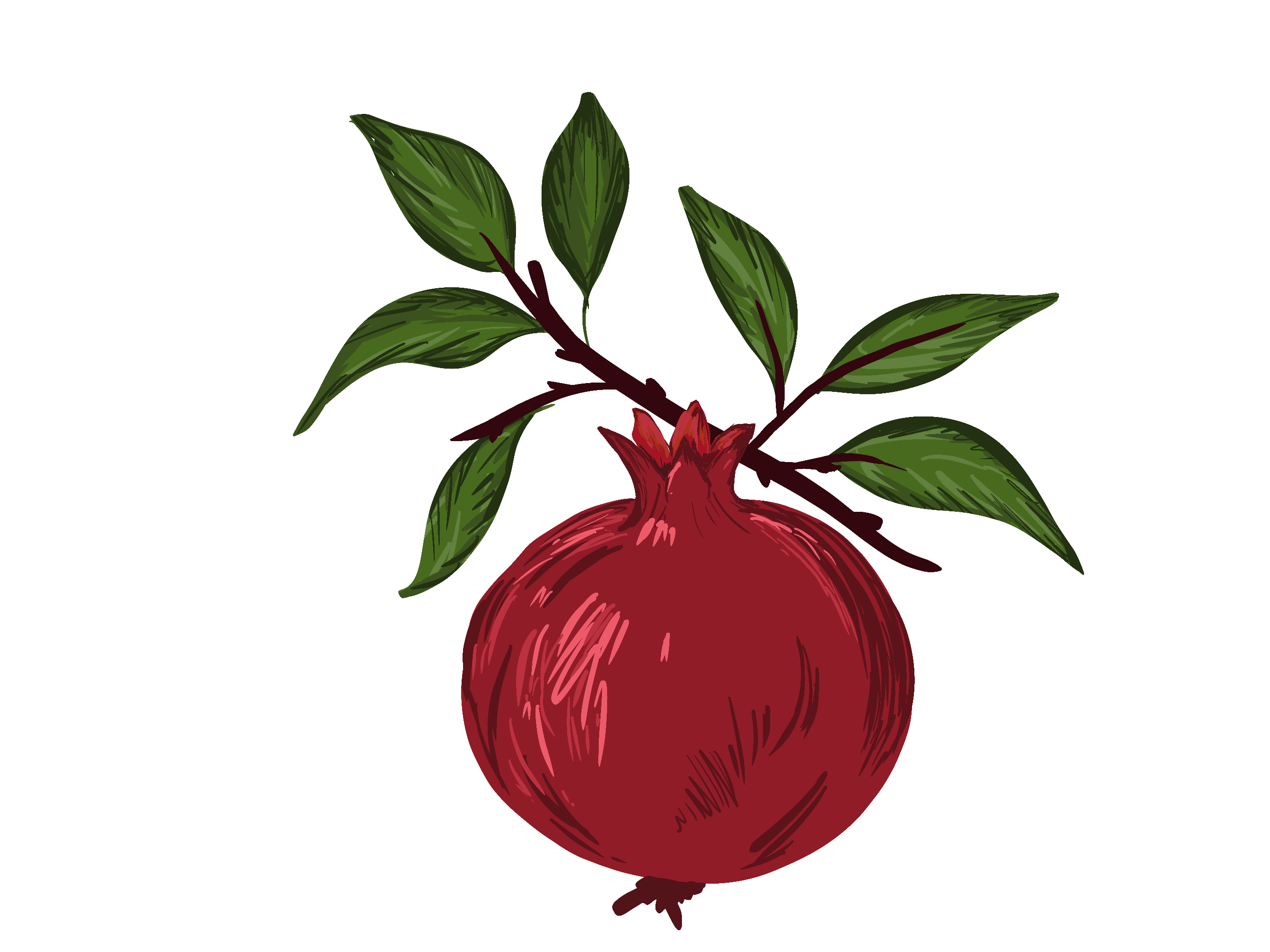 A whole pomegranate